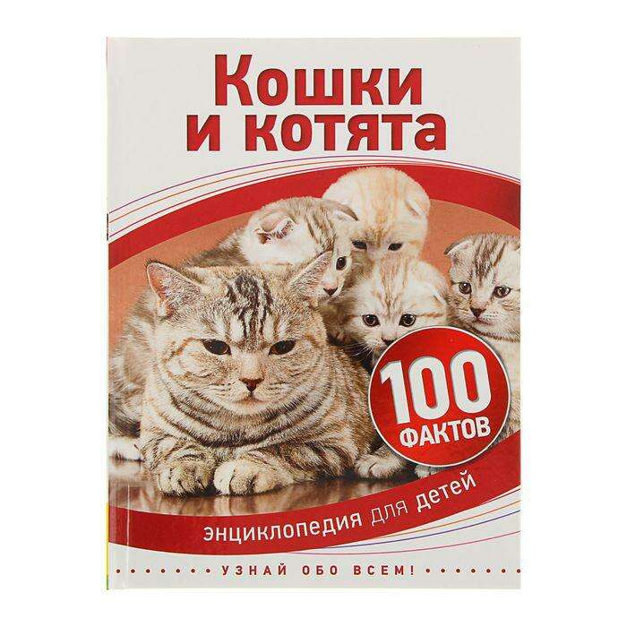 Энциклопедия для детей «Кошки и котята» 