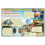 Энциклопедия с развивающими заданиями «Рептилии»  - фото 5