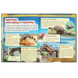 Энциклопедия с развивающими заданиями «Рептилии» 