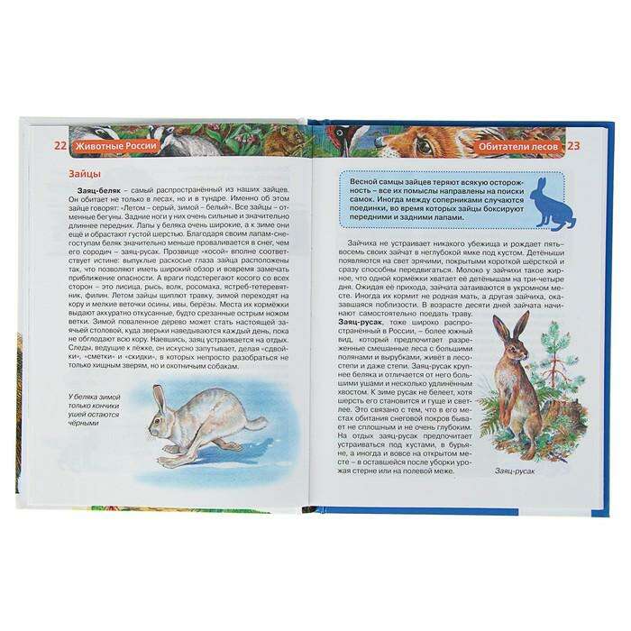 Детская энциклопедия «Животные России» 