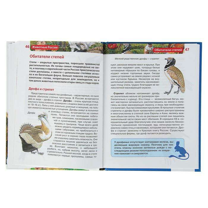 Детская энциклопедия «Животные России» 