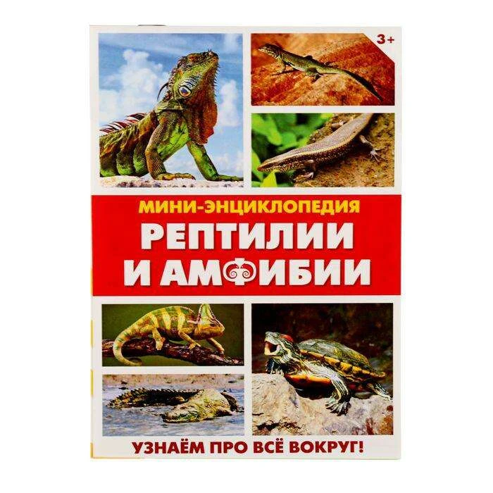 Мини-энциклопедия «Рептилии и амфибии», 20 стр. «Рептилии и амфибии», 20 страниц