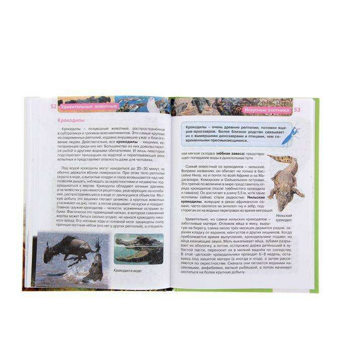 Детская энциклопедия «Удивительные животные» 