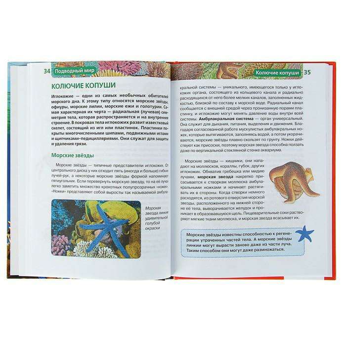 Детская энциклопедия «Подводный мир» 