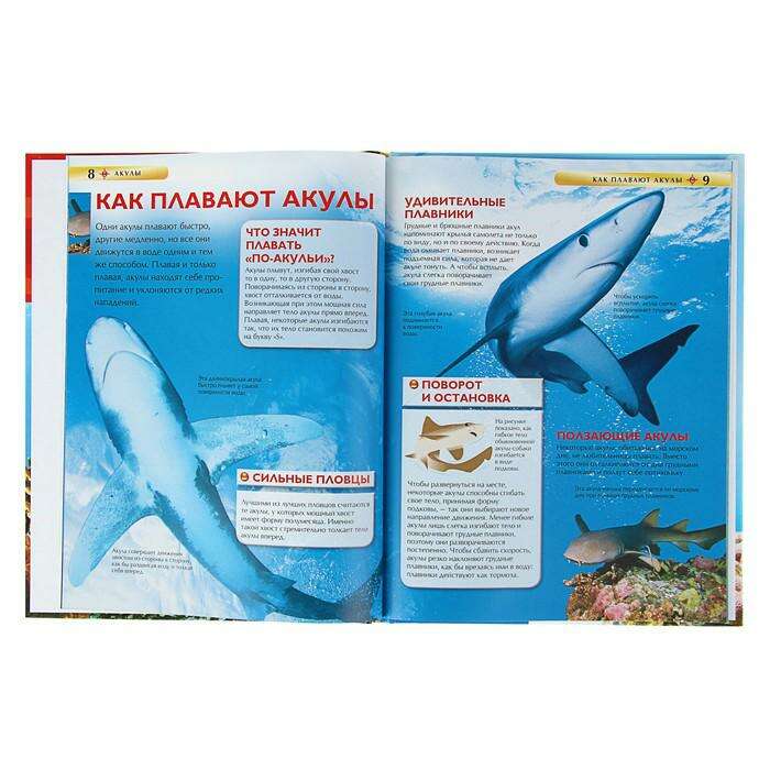 Детская энциклопедия «Акулы» 