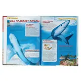 Детская энциклопедия «Акулы»  - фото 3