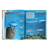 Детская энциклопедия «Акулы»  - фото 5