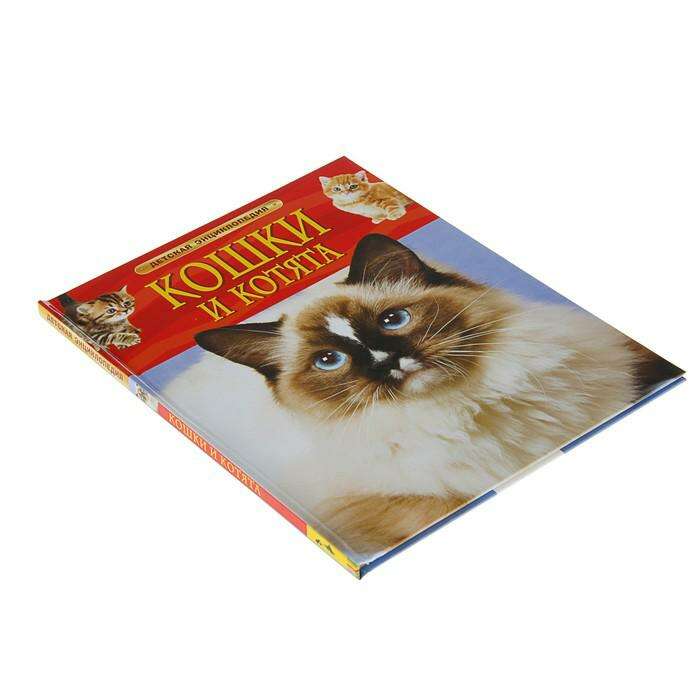 Детская энциклопедия «Кошки и котята» 