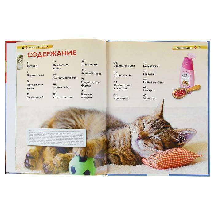 Детская энциклопедия «Кошки и котята» 