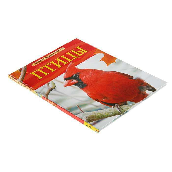 Детская энциклопедия «Птицы» 