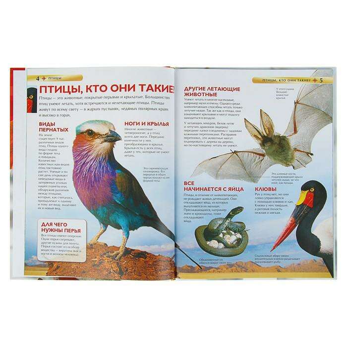 Детская энциклопедия «Птицы» 