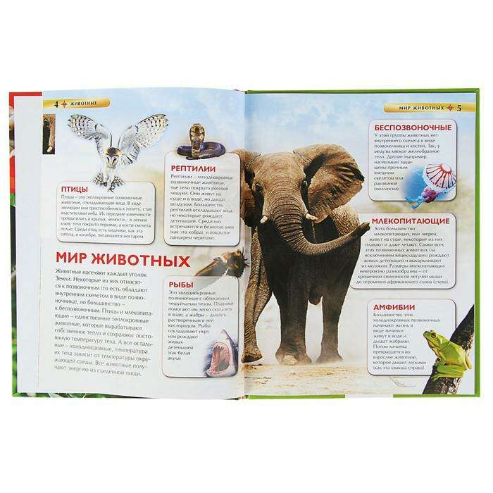 Детская энциклопедия «Животные» 