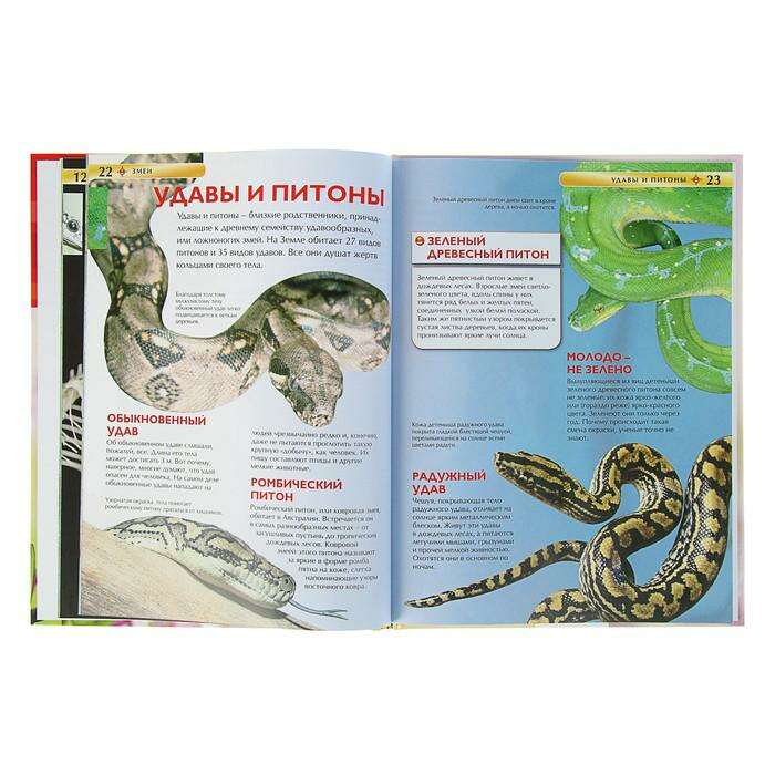 Детская энциклопедия «Змеи» 