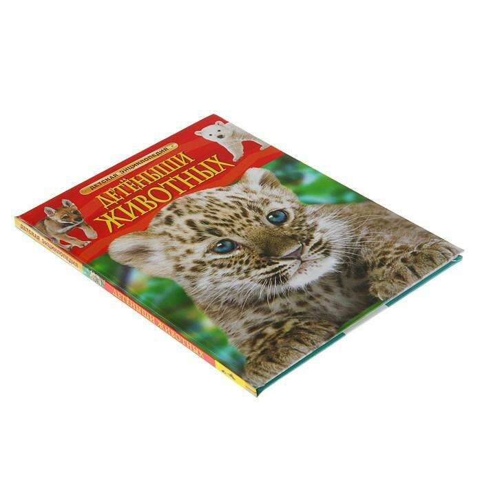 Детская энциклопедия «Детёныши животных» 