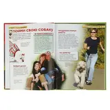 Детская энциклопедия «Собаки и щенки»  - фото 4