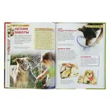 Детская энциклопедия «Собаки и щенки» 