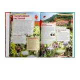 Детская энциклопедия «Удивительные растения»  - фото 5