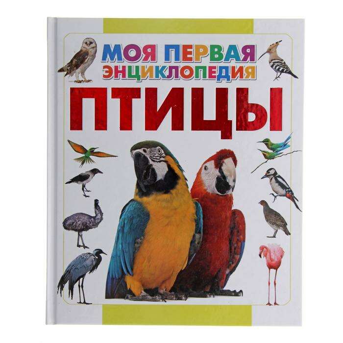 энциклопедия. книги о птицах. детская книга птицы. энциклопедия для детей росмэн птицы. книги о птицах для детей.