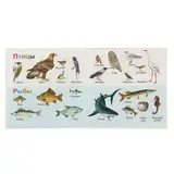 Раннее развитие. Моя первая энциклопедия  - фото 4