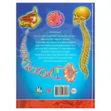 Атлас анатомии человека. Книга для детей и их родителей. Гуиди В.  - фото 2