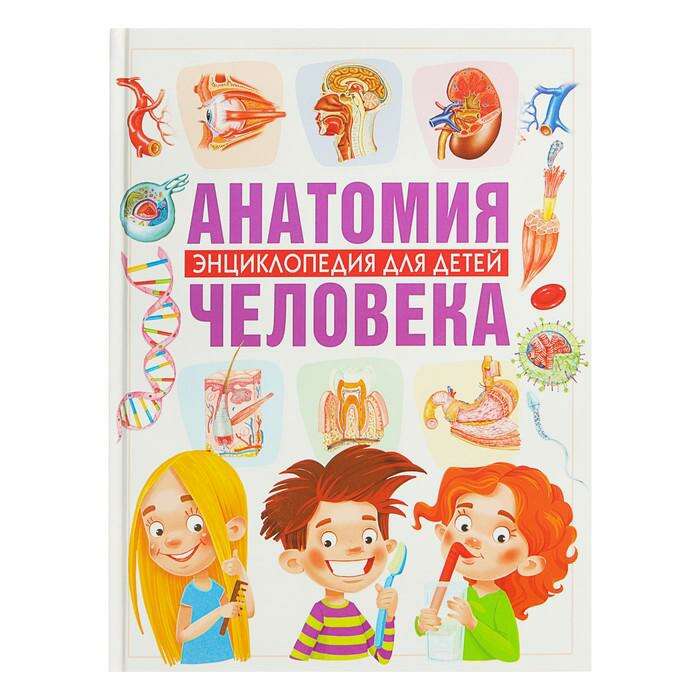 Купить Энциклопедия Анатомия Человека
