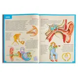 Энциклопедия для детей «Анатомия человека». Гуиди В. 