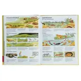 Детская энциклопедия РОСМЭН  - фото 5