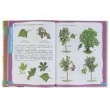 Большая энциклопедия подготовки к школе  - фото 4