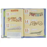 Большая энциклопедия подготовки к школе  - фото 6