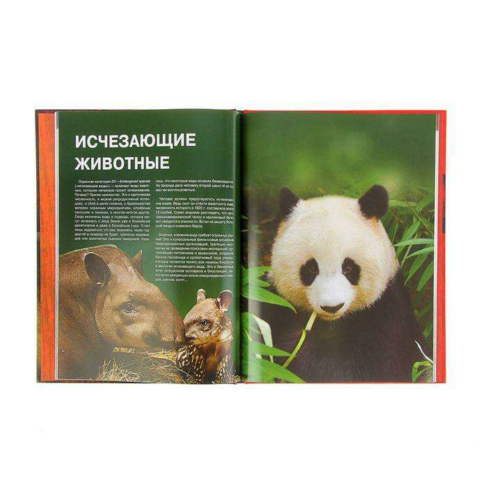 Красная книга «Животные мира». Скалдина О. В., Слиж Е. А. 