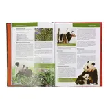 Красная книга «Животные мира». Скалдина О. В., Слиж Е. А.  - фото 5