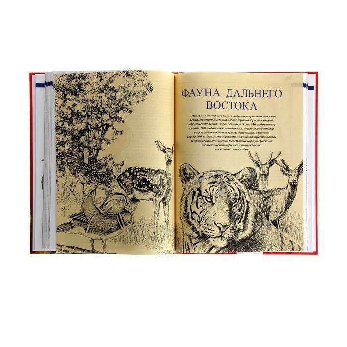 Красная книга России «Животные» 