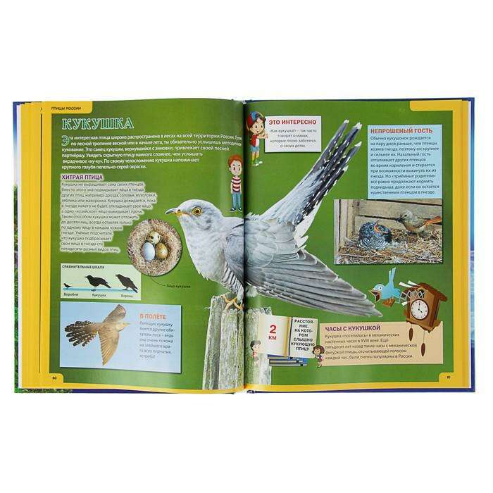 Иллюстрированная детская энциклопедия «Животные России» 