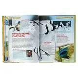 Детская иллюстрированная энциклопедия  - фото 4