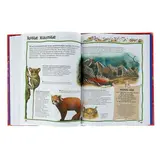 Большая энциклопедия вопросов и ответов  - фото 5