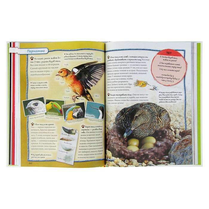 из энциклопедии. книга энциклопедия интересных фактов. исторические статьи интересные. энциклопедия интересных фактов. энциклопедия интересных фактов.