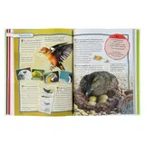 Энциклопедия интересных фактов «Обо всём на свете»  - фото 6