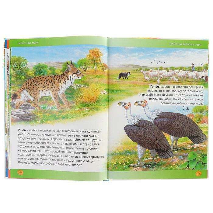 Энциклопедия для детей «Животные мира» 