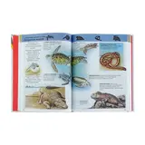 Большая детская энциклопедия «500 событий, фактов, явлений»  - фото 7