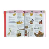 Большая детская энциклопедия «500 событий, фактов, явлений»  - фото 3