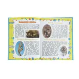 Большой подарок школьникам. Автор: Никитенко Е.С.  - фото 4