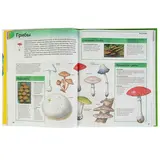 Новая энциклопедия школьника  - фото 6