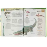 Новая энциклопедия школьника 