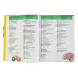 Новая энциклопедия школьника  - фото 3