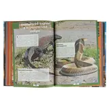 Большая детская 3D-энциклопедия обо всём на свете  - фото 3