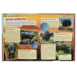 Энциклопедия с развивающими заданиями «Самые большие животные»  - фото 3