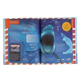 Детская энциклопедия. Лучший подарок для девочек и мальчиков  - фото 4