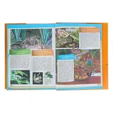 Энциклопедия «Отчего и почему? Для самых любознательных»  - фото 6