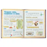 Энциклопедия занимательных наук для детей «Опыты и эксперименты». Вайткене Л. Д., Филиппова М. Д.  - фото 5