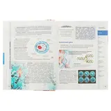 Популярный атлас анатомии человека. Палычева Л. Н., Лазарев Н. В.  - фото 4